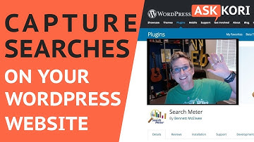 Capture Search Queries on Your WordPress Website