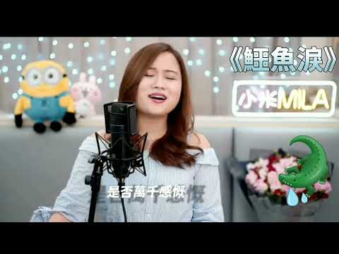《鱷魚淚》作詞：黃霑/作曲：黃霑/原唱：袁麗嫦 //小米MILA 與你共聚 音樂分享Live 🎤206集