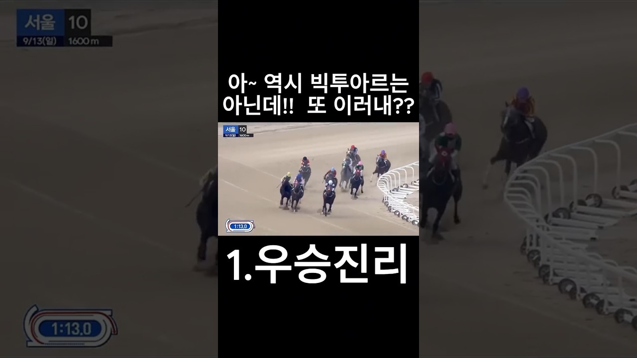 역시 빅투아르는 아닌데    #경마  #경마예상  #경마방송  #경마예상방송  #서울경마  #금요경마  #토요경마  #일요경마 #경마장