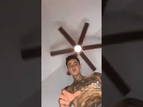 nicocapon