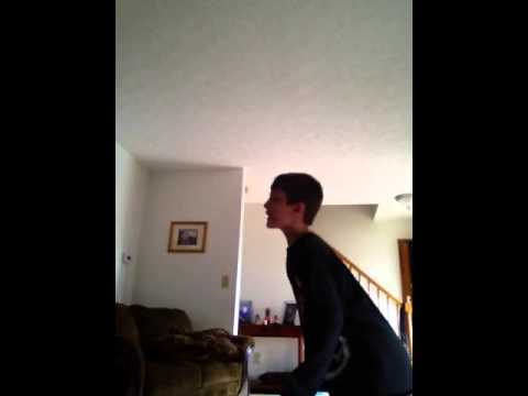 Skylanders Minecraft song failure