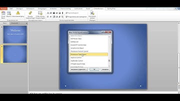 flash objects in Powerpoint 2010