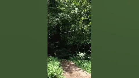 Sandra Lumpkin Zipline