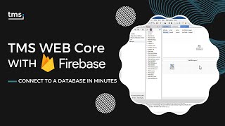 TMS WEB Core with Firebase: Connect to a database in minutes screenshot 5