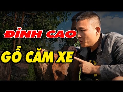 Video Tham quan xưởng gỗ bắt gặp gỗ căm xe và cái kết chốt... - youtube