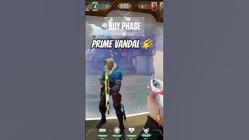 Prime  VANDAL is AIMBOT | The SAGE main on your team | Valorant 😱 #Shorts #valorant