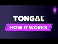 Say hello to tongal  connecting creators to brands