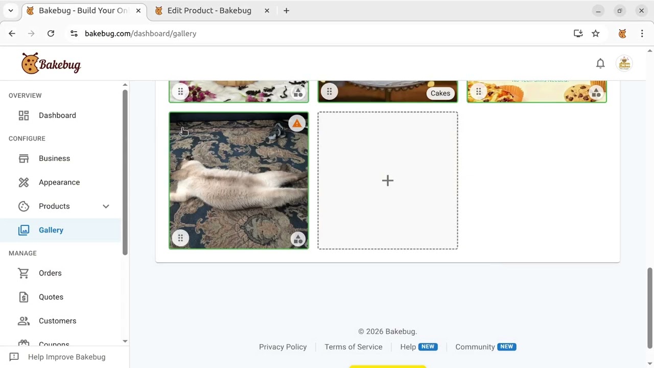 Gallery Overview: Showcase Your Products