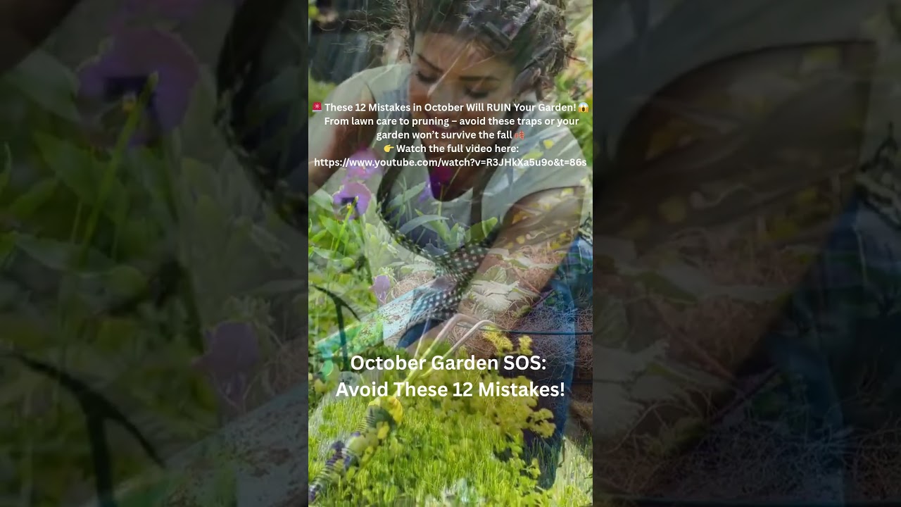 12 October Garden Mistakes You Need To Avoid Now