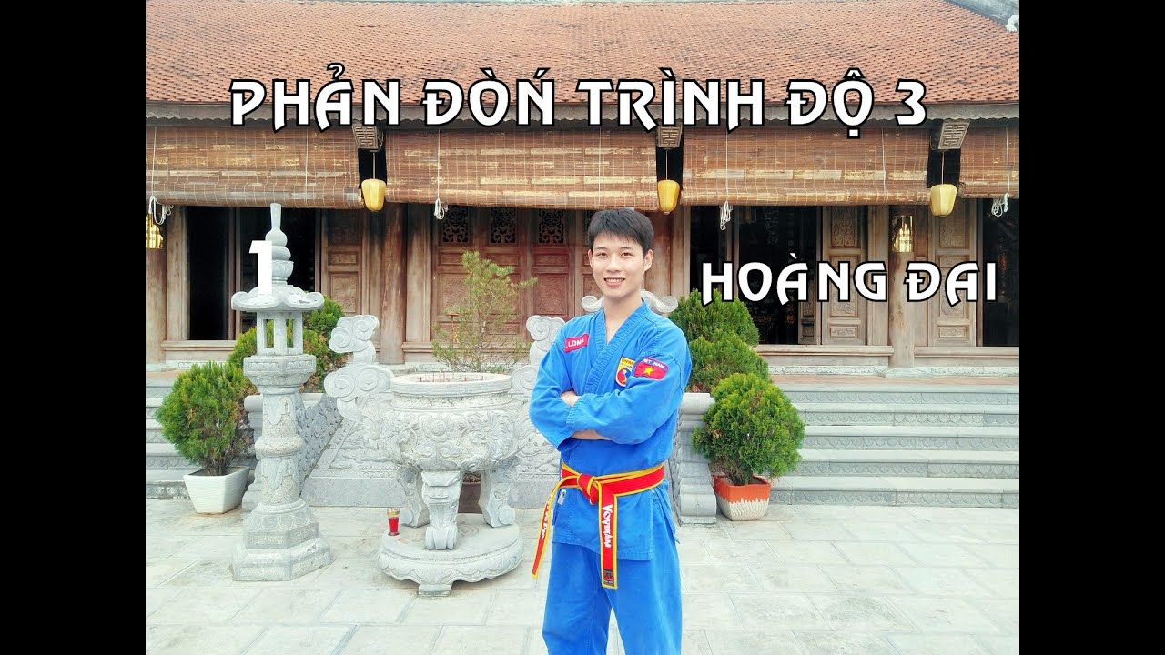 Vovinam -  PHẢN ĐÒN CĂN BẢN TRÌNH ĐỘ 3 HOÀNG ĐAI HƯỚNG DẪN  (Vovinam Punch Counter Attack Level 3)