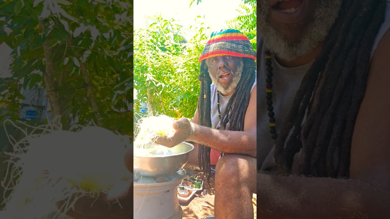 health benefits of corn 🌽 silk