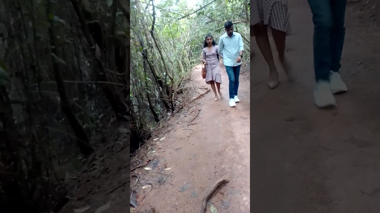 Exploring Beddagana Wetland Park – A Hidden Green Escape in Sri Jayawardenepura Kotte