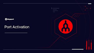 Port Activation and Troubleshooting