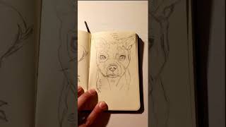 Working on filling this little pocket sketchbook up!! Have had it for 3 years now! #shorts #fypシ