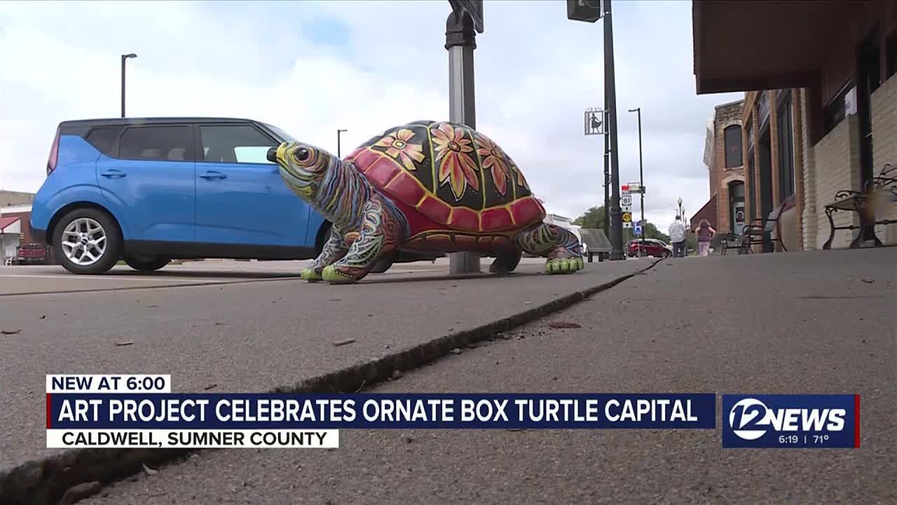 Caldwell art project celebrates ornate box turtle capital