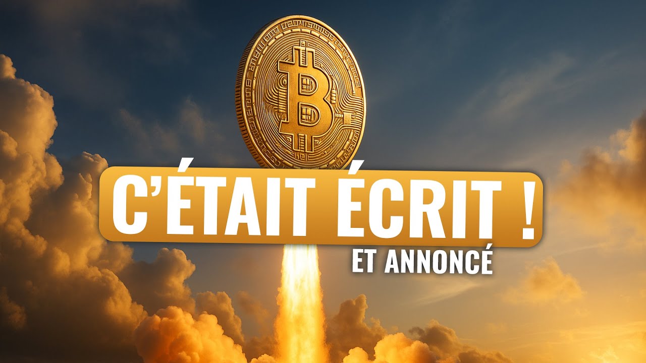 Bull Run crypto 2025 : entre copier-coller et gestion active, comment  rester dans la course ?