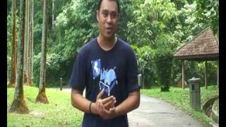 Mr Haze Runner