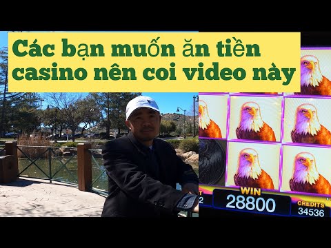 Top X Địa Chỉ Chơi Sòng Bạc Trực Tuyến Hàng Đầu Tại Việt Nam