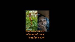 সবথেকে সাবধান #naag #snakesaverbrothers #snakevideo #naagin #saampwalagame #trending #saampwalavideo