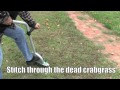 How to - Plant grass seed to stop crabgrass