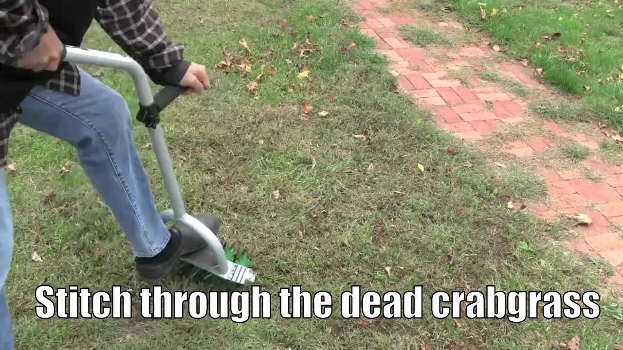 How to - Plant grass seed to stop crabgrass