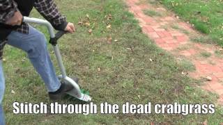 How To Plant Grass Seed To Stop Crabgrass Youtube