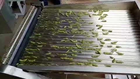 Wet green soy bean skin removing machine/fresh edamame sheller/mung bean stripping machine