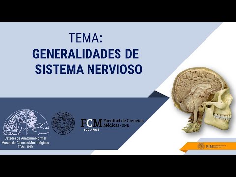 Sistema Nervioso  Introducción y Generalidades