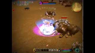 Flyff Gameplay Of Warrior