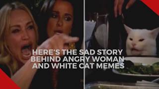 sad white cat