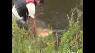 Redneck Wakeboarding