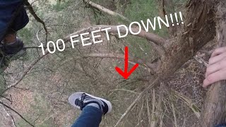 FREE CLIMBING Giant Trees! 100 FOOT TALL!