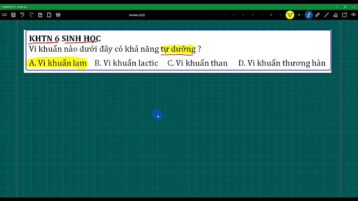 Vi khuẩn lactic có hình thức dinh dưỡng là gì