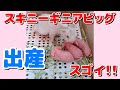 スキニーギニアピッグの出産が凄かった！