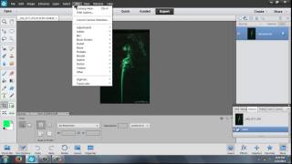 How to Invert Colors on a Photo : Cameras & Photography screenshot 4