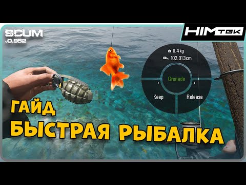 Видео: SCUM ГАЙД ПО БЫСТРОЙ РЫБАЛКЕ