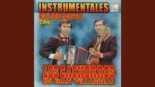 Video thumbnail of "Los Cachorros De Juan Villarreal - El Capullo"