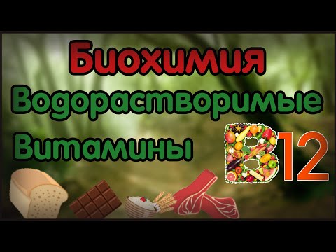 Биохимия. Лекция 13. Водорастворимые витамины. Витамин B12.