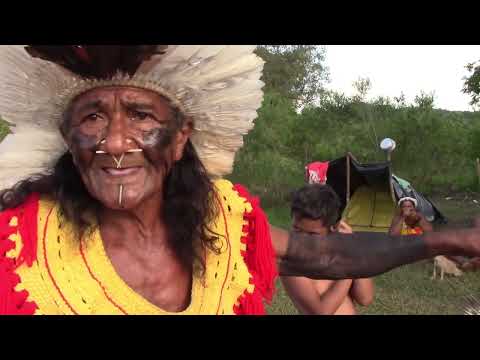 “Quando pomos pé num território somos raiz forte.” Arapoã Kakyá Xukuru-Kariri Brumadinho/MG –Vídeo 3