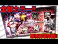 マッスルスパークがカラーで登場！キン肉マン キンケシフルカラープレミアム Vol.5 鮮明に蘇る！熱き魂の巻！ 開封レビュー プレミアムバンダイ