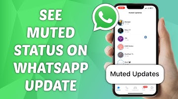 How to See Muted Status on WhatsApp Latest Update