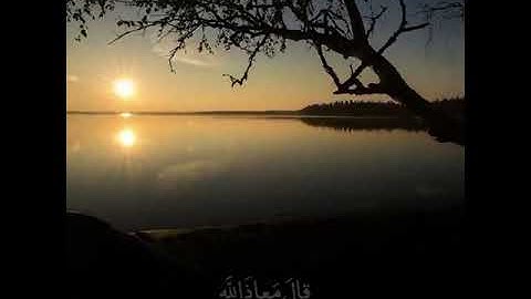 حالات واتس ــ. للشيخ. ناصر القطامي ـــ تلاوه هادي