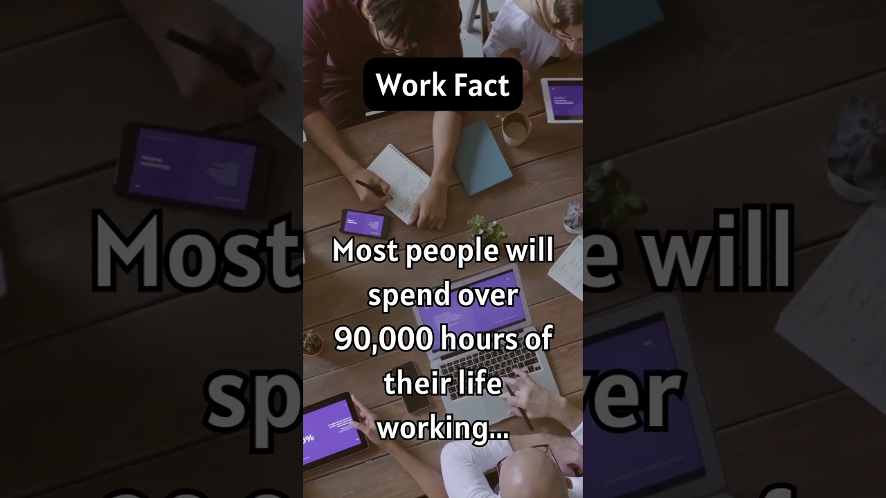 Workplace Wonders: Insights into Productivity; 