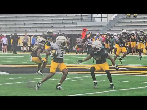 University of Southern Mississippi Spring Football Showcase