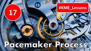 #KME_Lessons The Pacemaker Process