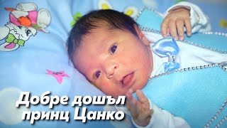 картинка: Добре дошъл Цанко-Студио Илиян