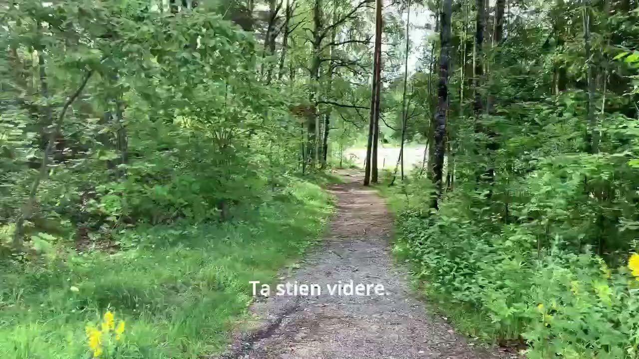 Hvor finner du Fontenehuset på Mortensrud?