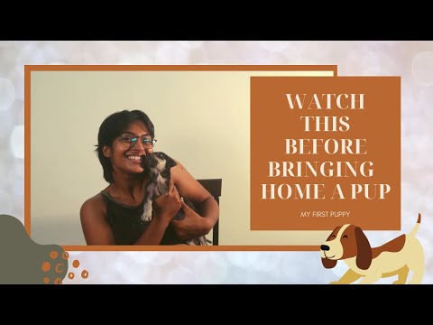 My first puppy || Watch this before bringing home a puppy || Pori Urundai Vlogs