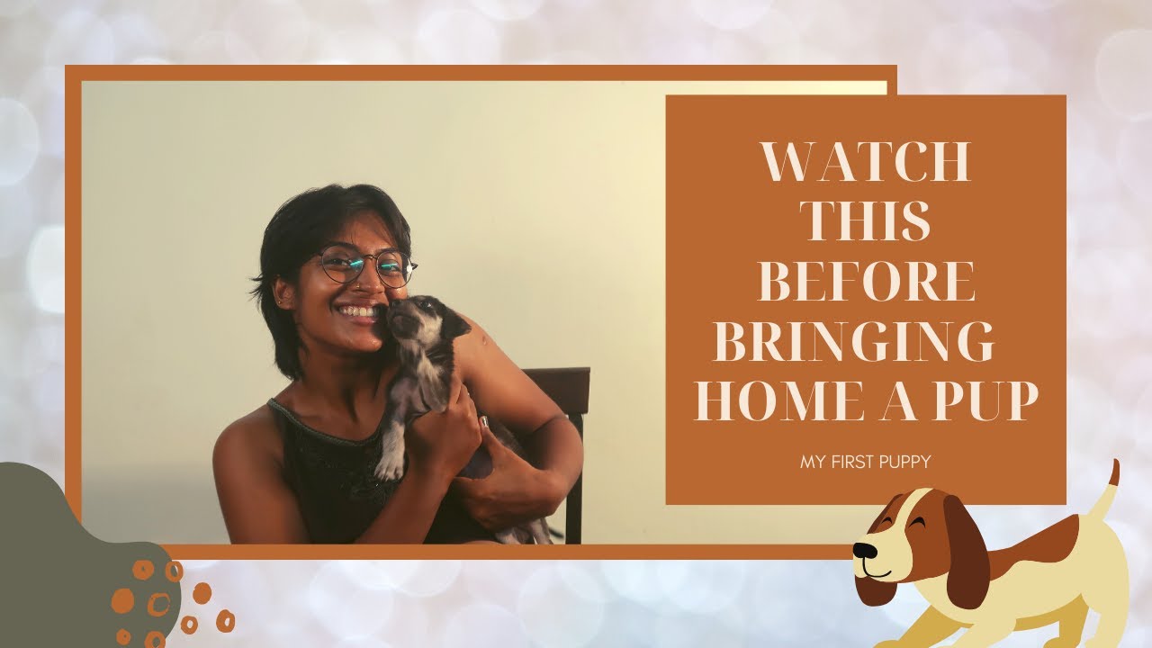 My first puppy || Watch this before bringing home a puppy || Pori Urundai Vlogs