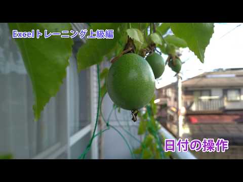 Excelトレーニング上級編 - 日付操作